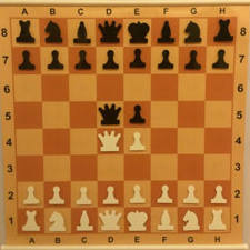 Шахматы демонстрационные складные”Мобильные” (80×80 см)