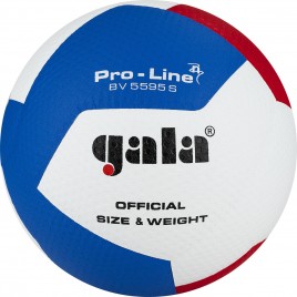 Мяч волейбольный GALA Pro-Line 12